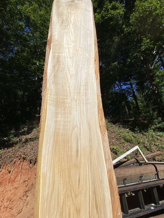 Live Edge Curly Maple Slabs